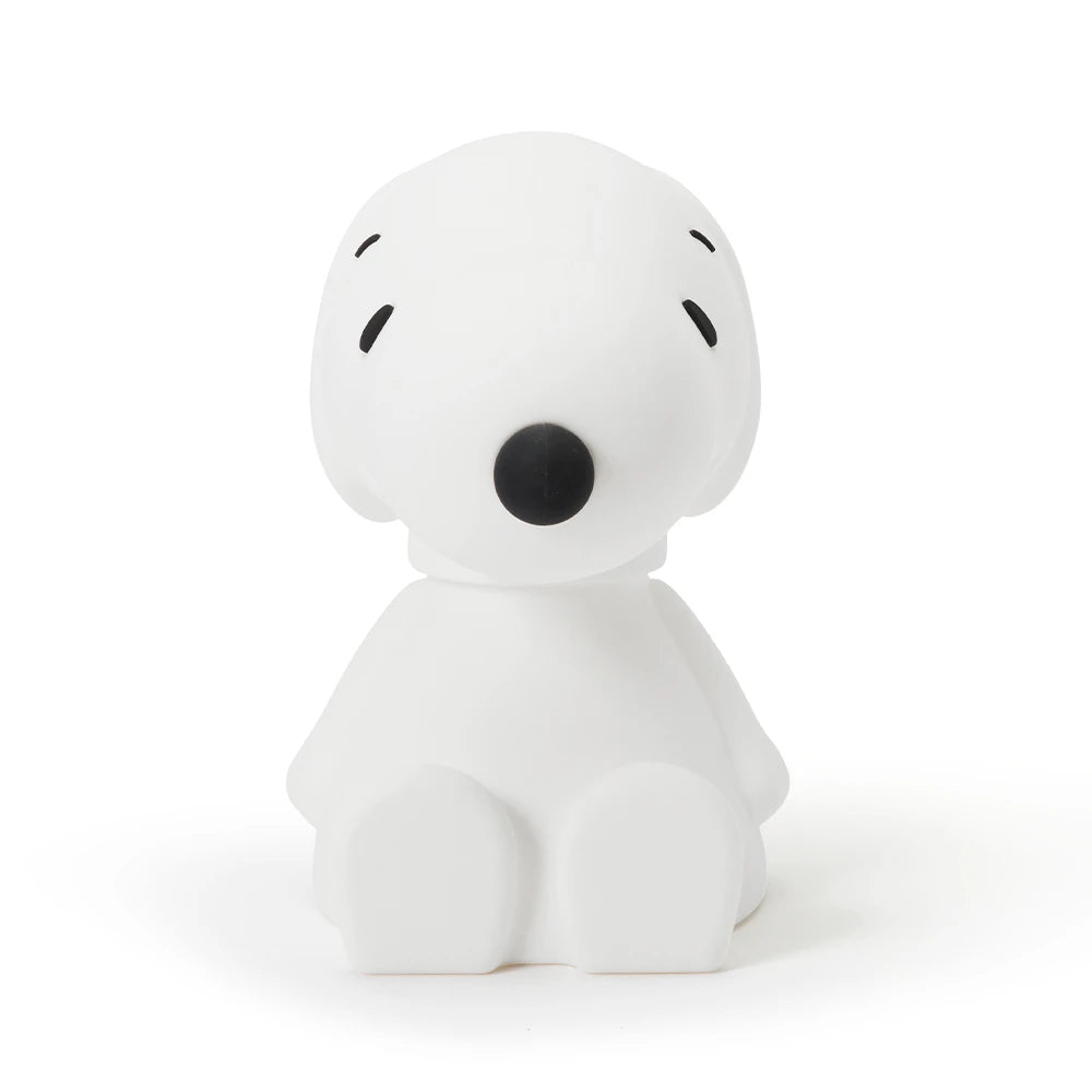 Snoopy Bundle of Light