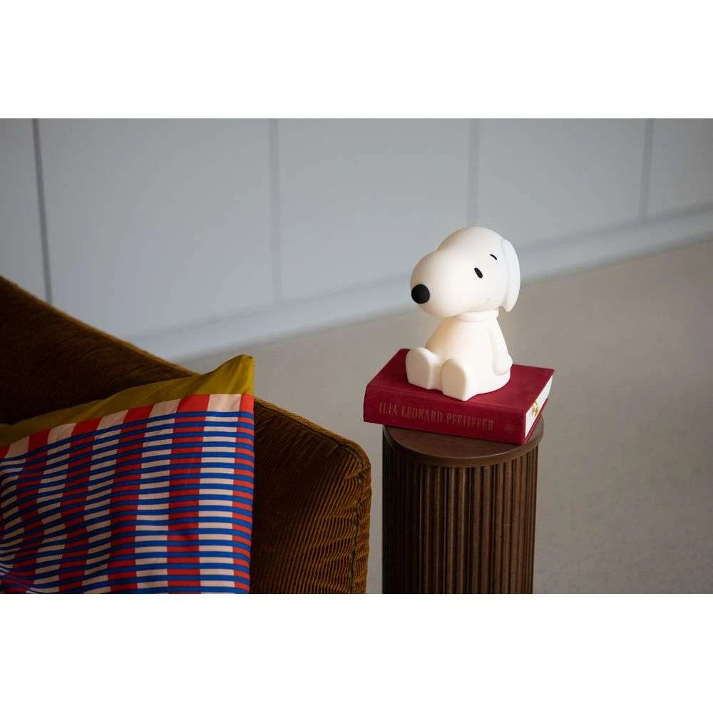 Snoopy Bundle of Light