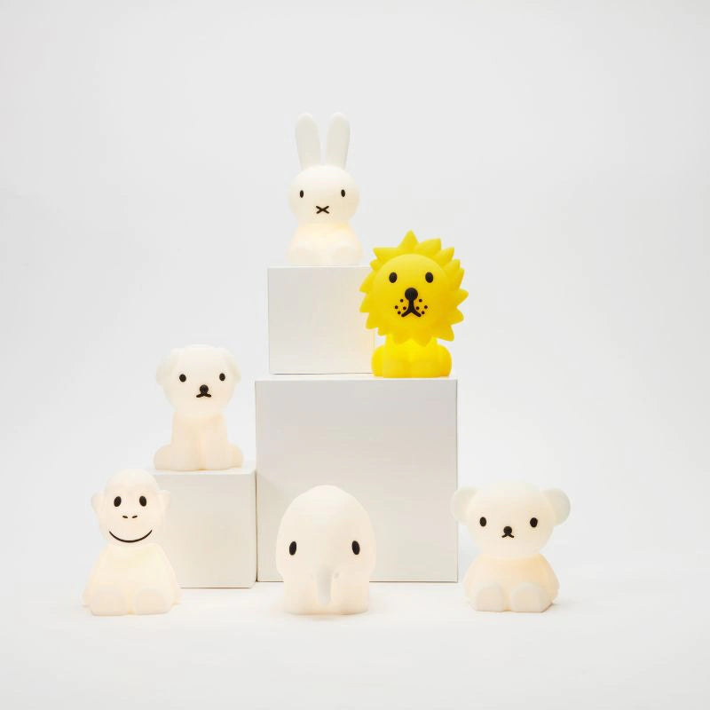 MIFFY bundle of light - Leeuw